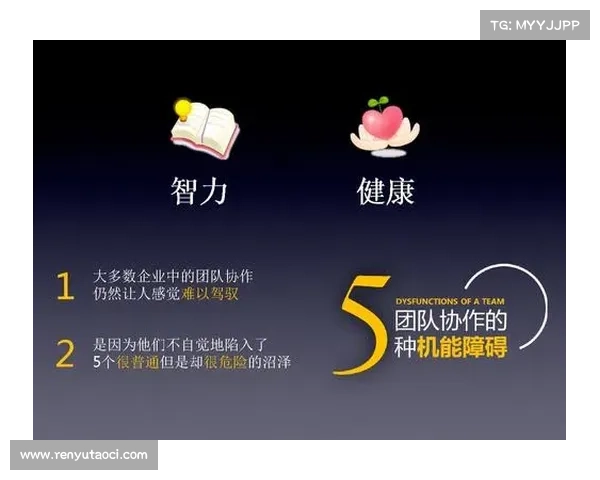团队协作中辅助光辉装备的最佳推荐与选择指南 团队协作中辅助光辉装备的最佳推荐与选择指南