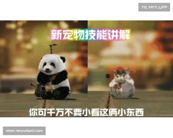 让你的宠物更强大提升战斗技能的六个实用训练秘诀